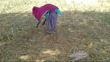 देसी इंडियन बॉयफ्रेंड ने खेत में काम कर रही उसकी मस्त चुदाई की