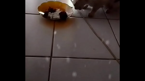 Anita Lagi Pengen Digoyang.