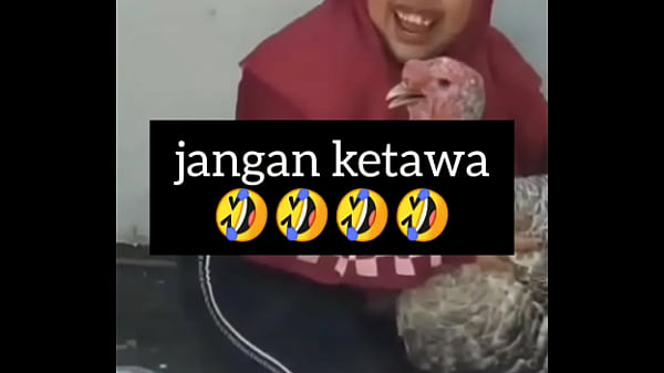 Gadis Montok Ngakak Sambil Ngeloyor Nafsu Birahi.